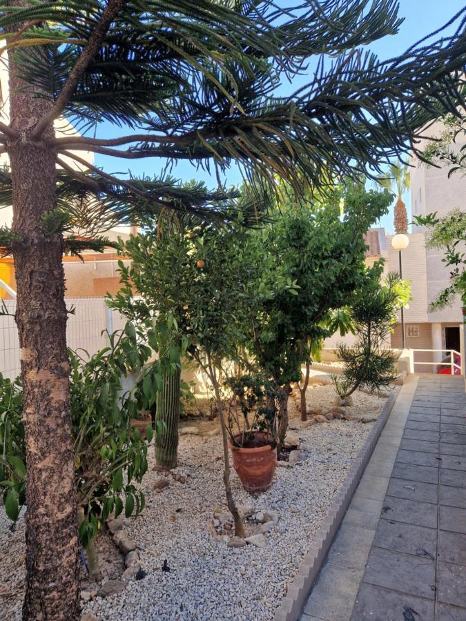 Magnifico Chalet Adosado En Torrevieja, Alicante. Esterno foto